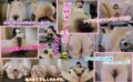 komz00055 【VR】天然マン毛の女たち 児玉れな