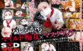 【VR】ボクは厨房で働くマスク美女に仕事中もずっとフェラされています 神納花 13dsvr01320