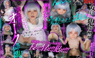 【VR】VR異世界モンスター転生 転生したら絶倫オークだったので、捕まえてきたロリエルフを、腹ボテ精子タンクになるまで犯し尽くす 工藤ララ 13dsvr01341