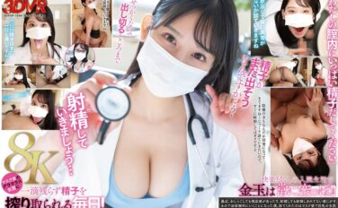 【VR】【8K】泌尿器科の女医さんが僕の陰茎と精液をしつこいぐらい検査してくる。西野先生 13dsvr01594