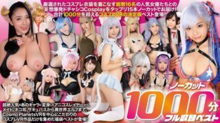 【VR福袋】アニコスレイヤーからサキュバス メイド エルフまで！！ その着せ替え美少女達はコスHする ノーカット1025分フル収録ベスト cosvr00022
