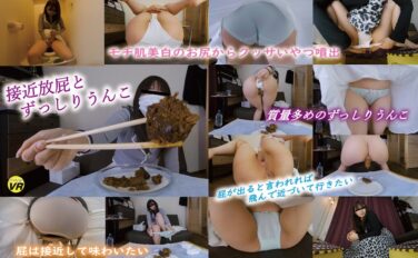 【VR】接近放屁とずっしりうんこ 星野結花 komz00042
