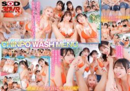【VR】【8K】CHINPO WASH VR ビキニ整備士6人による全身淫乱点検 全身舐められ！洗われ！究極ハーレム 13dsvr01821